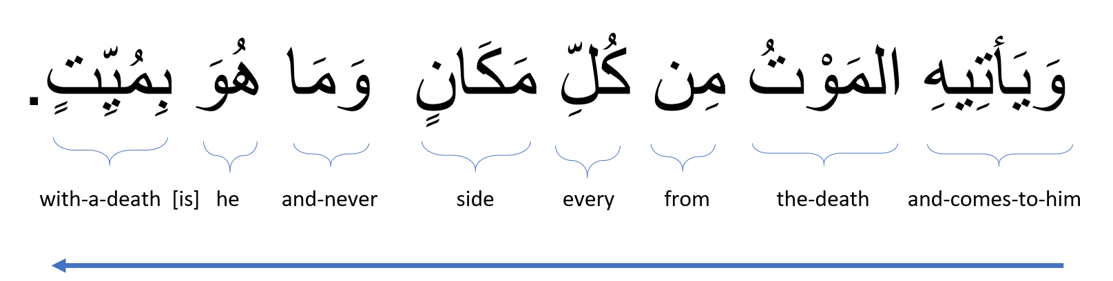 Verse analysis 14-17